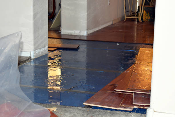 Professional Burst Pipe Cleanup technician working in Saint Libory, IL