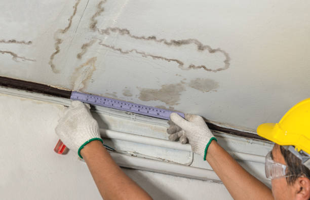 Reliable Burst Pipe Cleanup contractor in Saint Libory, IL by Water Damage Irwin
